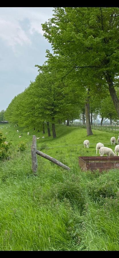 Bungalow Scheldezicht In Zeeland Dicht Bij Zee Scherpenisse Екстер'єр фото