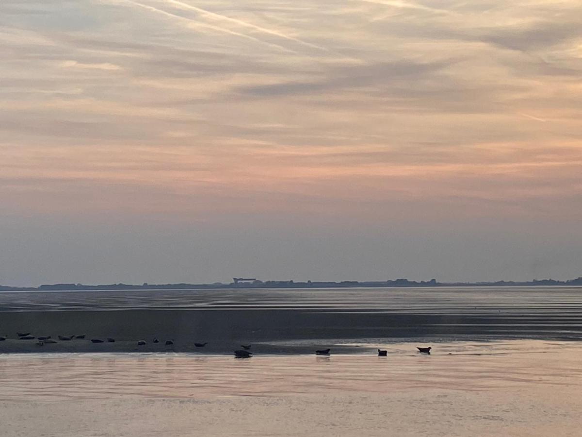 Bungalow Scheldezicht In Zeeland Dicht Bij Zee Scherpenisse Екстер'єр фото